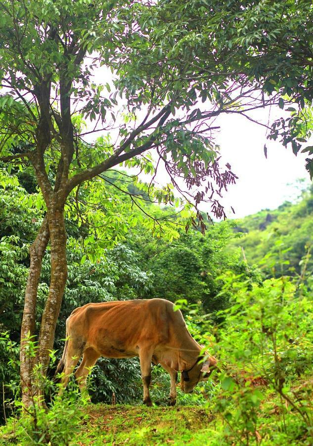 Du Gia Nalien View Homestay Lang Cac Luaran gambar
